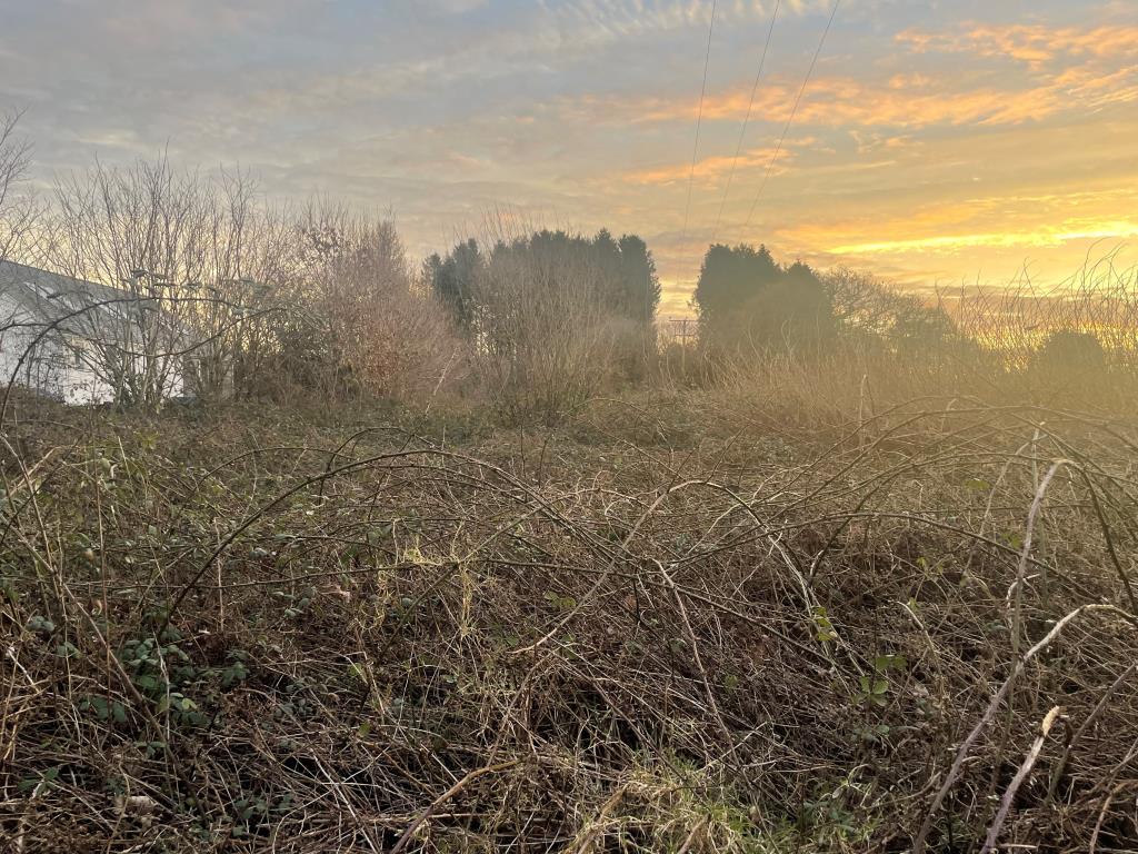 Lot: 15 - FREEHOLD LAND AND ROAD - Overgrown land